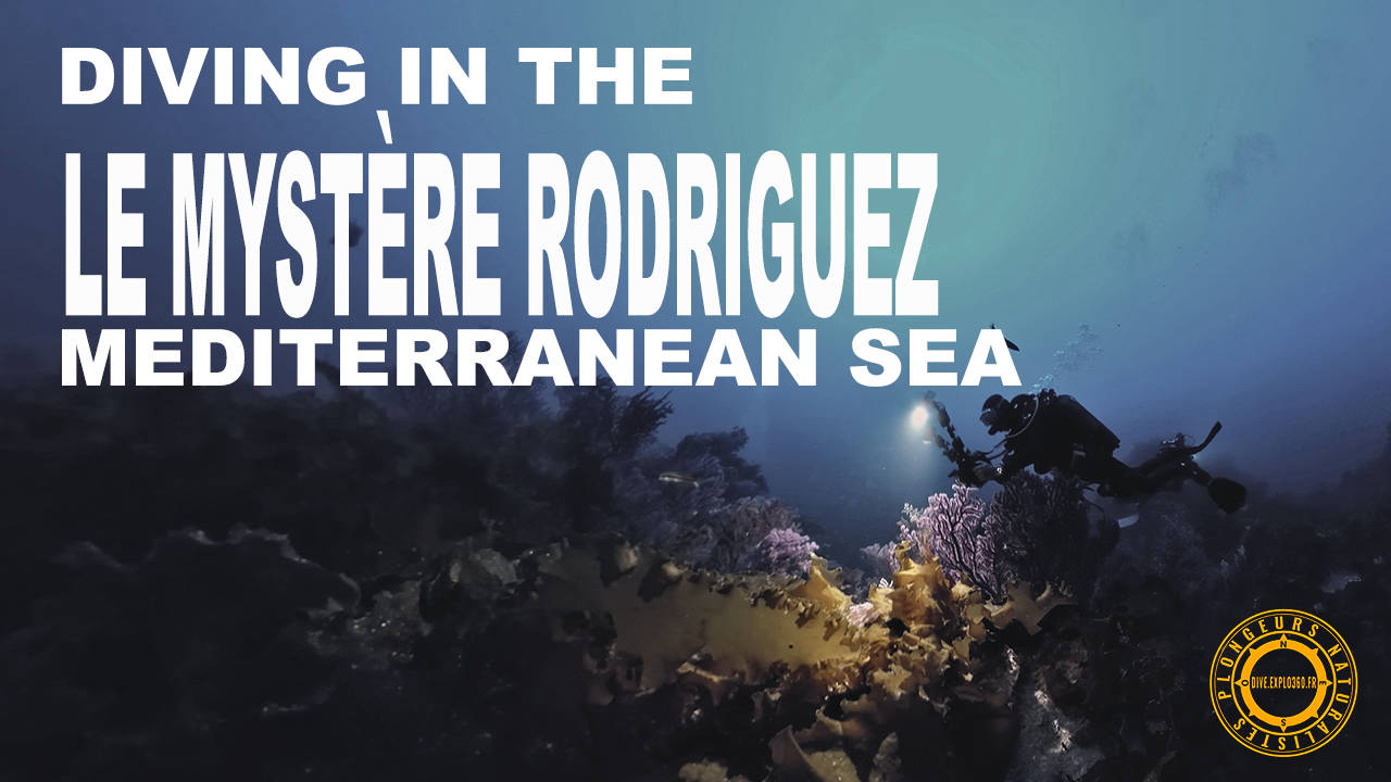 Le mystère Rodriguez