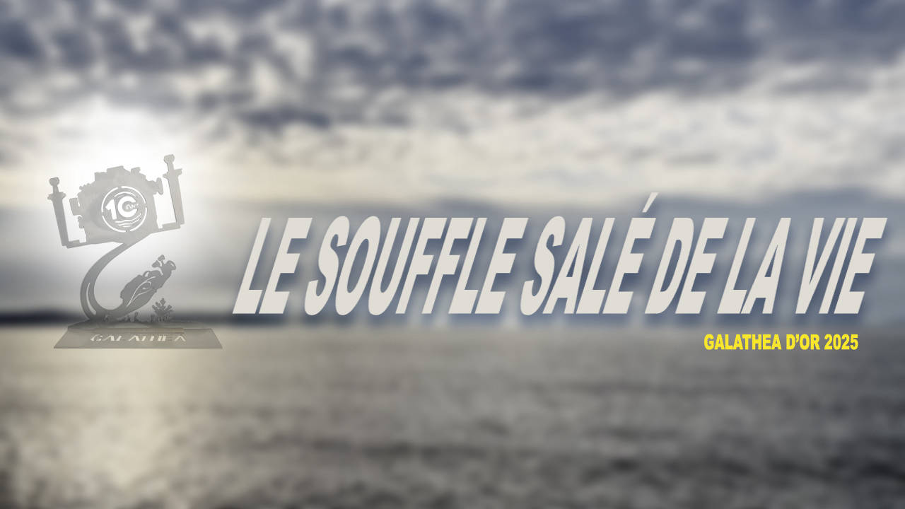 Le souffle salé de la vie